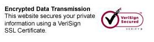 Encrypted Data Transmission EncryptedData